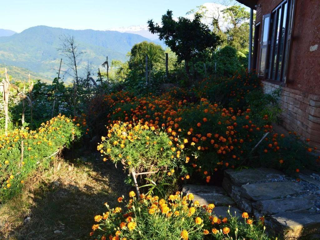 Mystique Highland Resort Pokhara Exterior photo